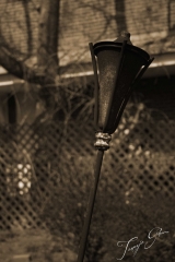 old_lampost_newhope_sepia_tg