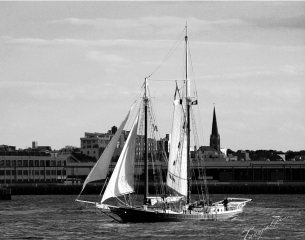 sailboat_11_14_nyc_bnw_tg