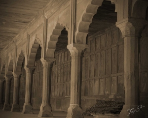 taj_pillars_moved_v_sepia_tg