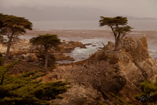 the-lone-cyprus_monterey-bay_tg