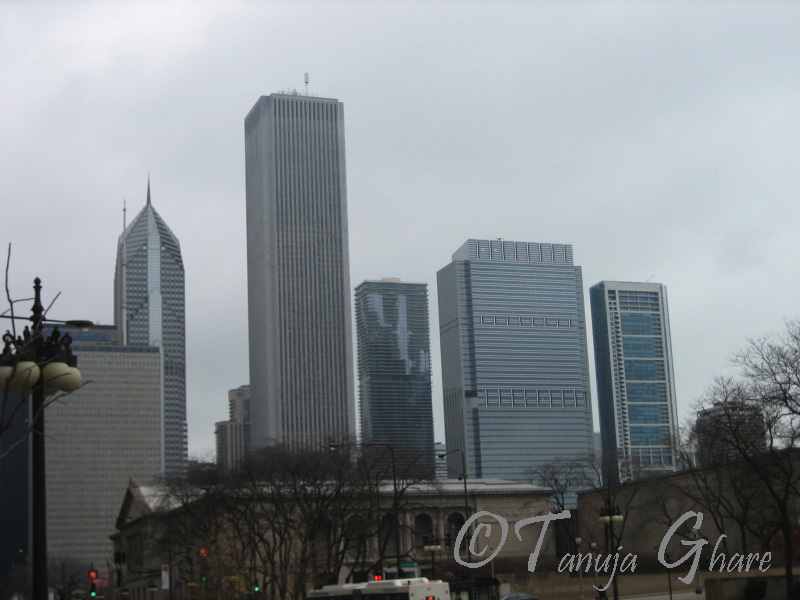 Chicago Skyline On A Cold Day