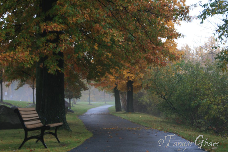 Endless Paths