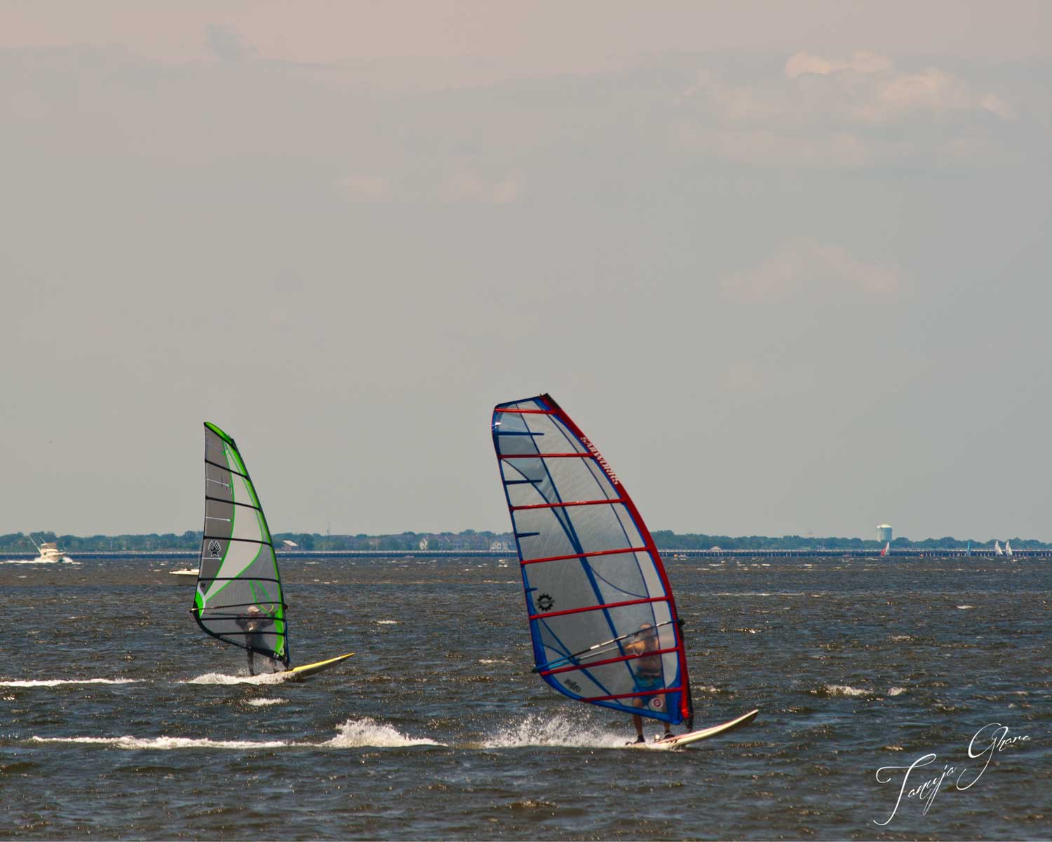 Windsurfing on NJ