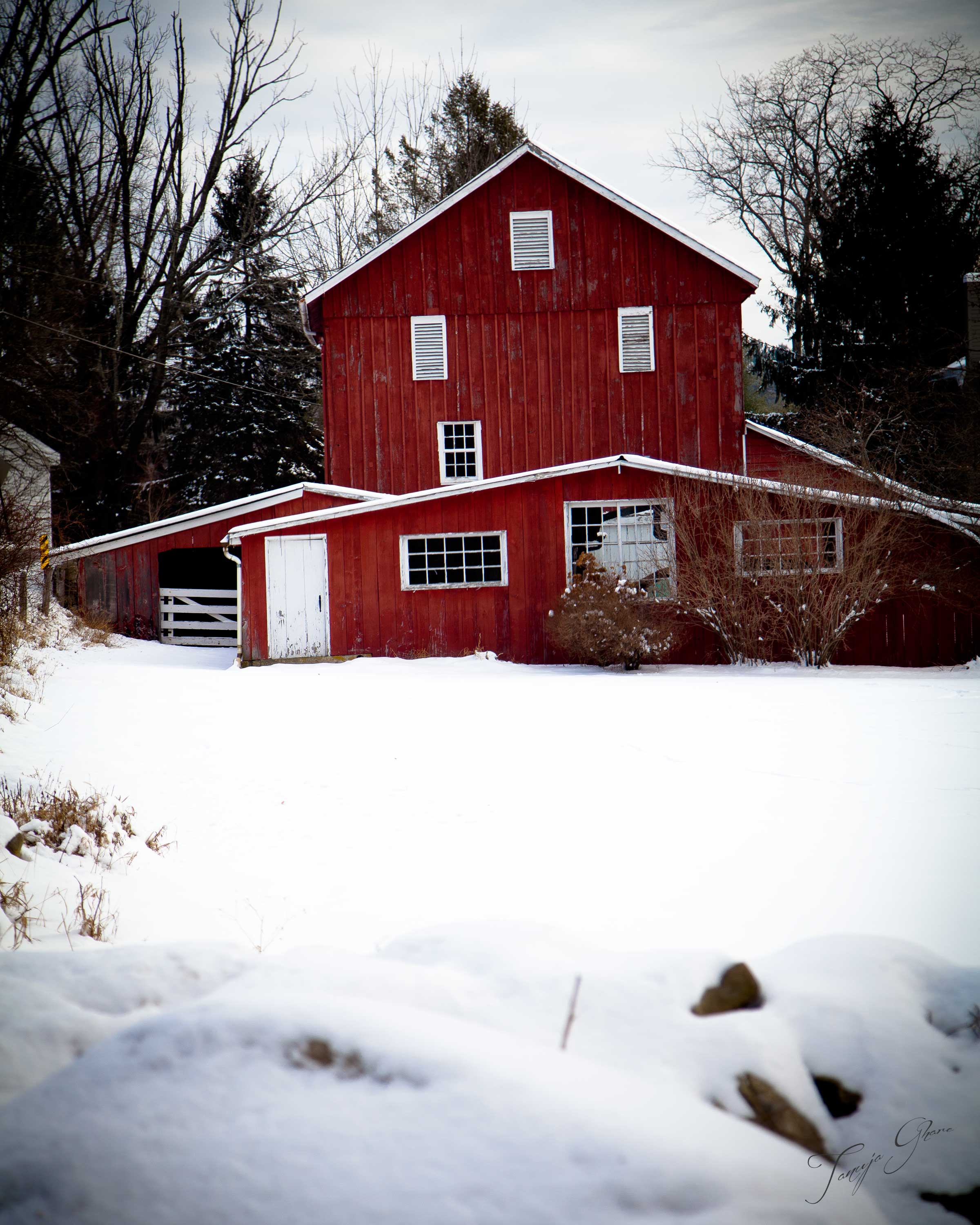 Red House in snow